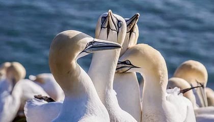 拉波尔塔与莱万沙特之旅亲密会见全球巴萨球迷|巴塞罗那|罗伯特·莱万多夫斯基|马西普|恩里克|西班牙皇家足球协会_新浪体育_新浪新闻